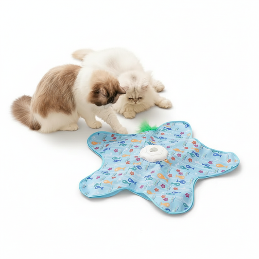 Estrella Gatuna Premium