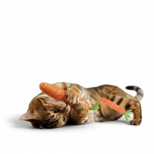 Zanahoria Gatuna Premium