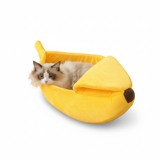 Banana Gatuna Premium